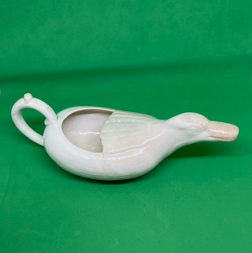 Canard biberon malade - biberon,