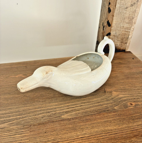 Canard malade ancien en - de,